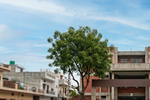 Bal Nikunj Prerana Vidyalaya,Lajpat Nagar Kanpur